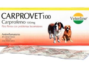 Carprovet