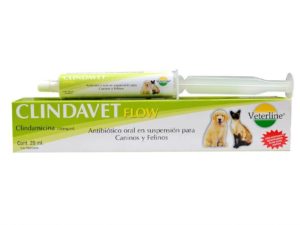 Clindavet Flow