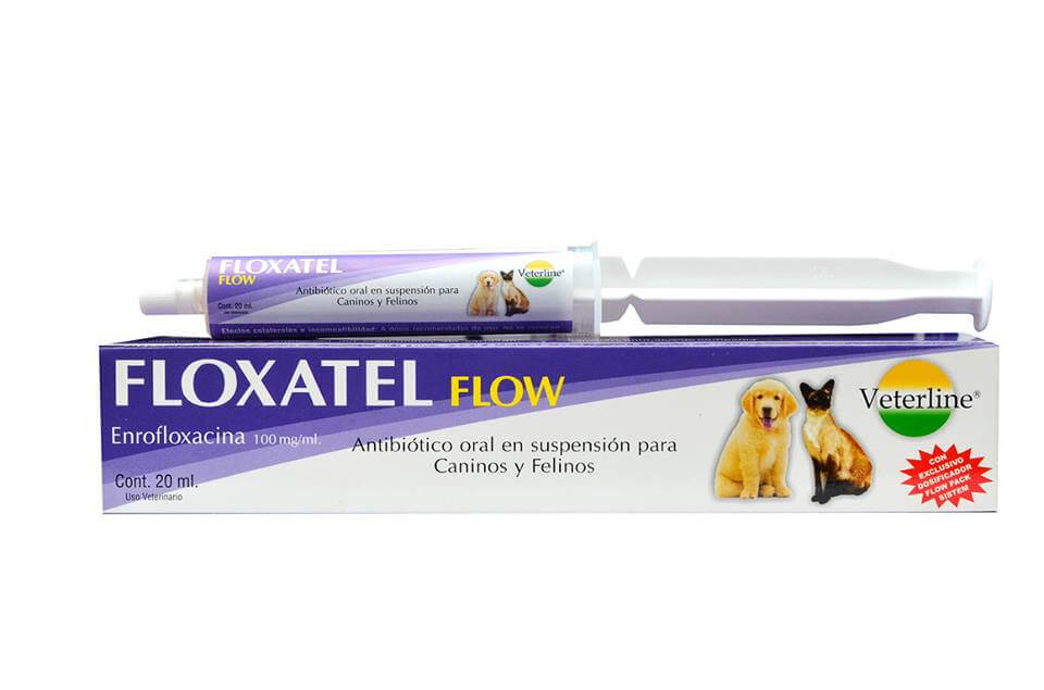 Floxatel Flow