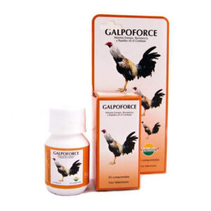 Galpoforce 50