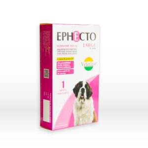 EPHECTO LARGE