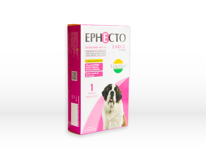 EPHECTO LARGE